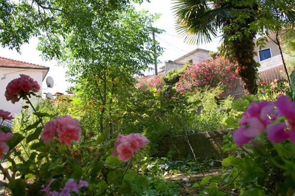 Mravak Apartments Trogir Ngoại thất bức ảnh